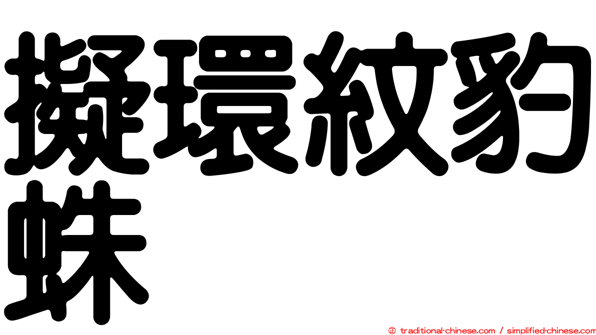 擬環紋豹蛛