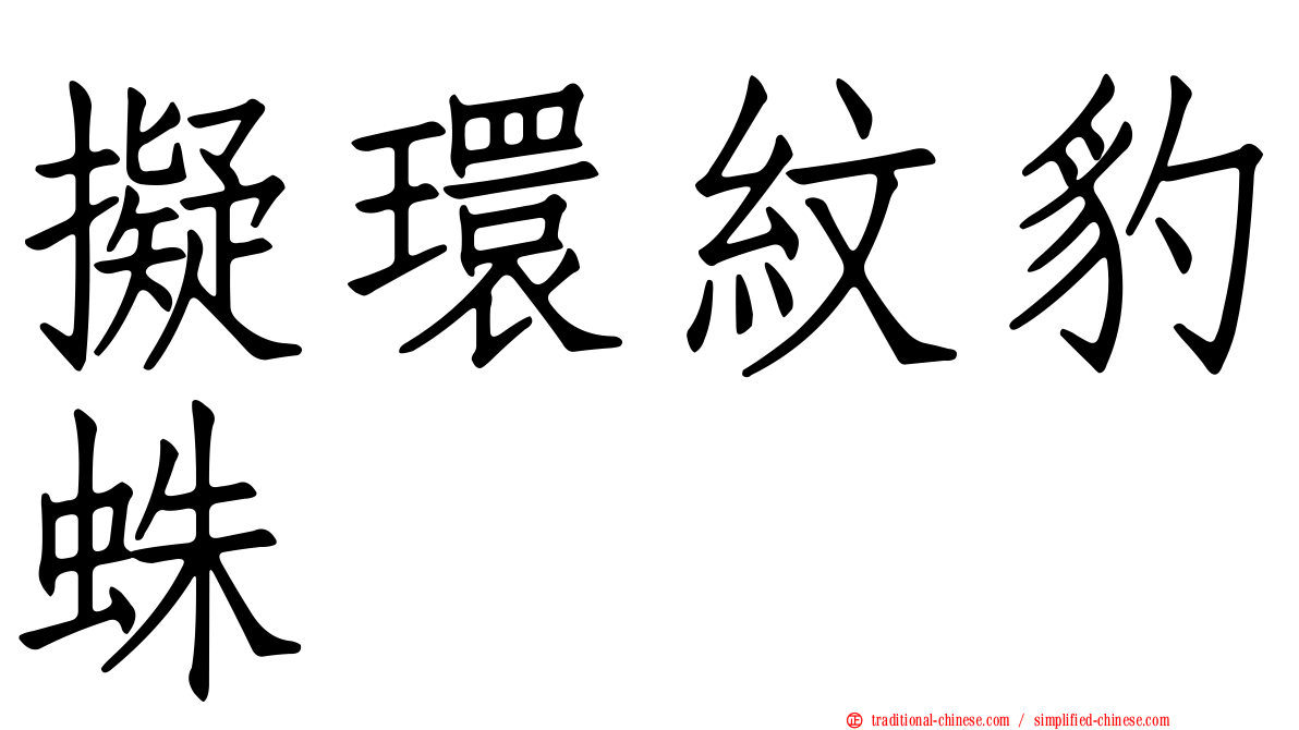 擬環紋豹蛛