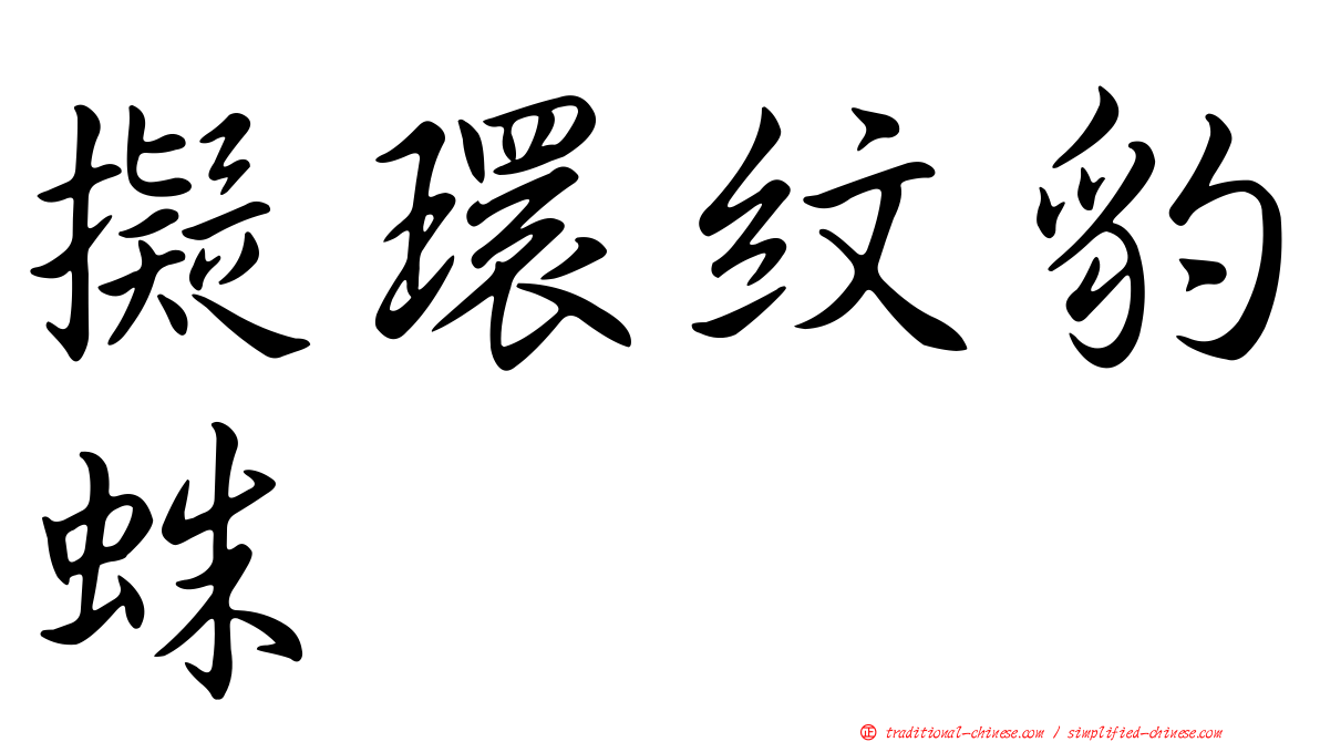 擬環紋豹蛛