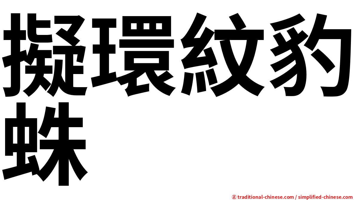 擬環紋豹蛛