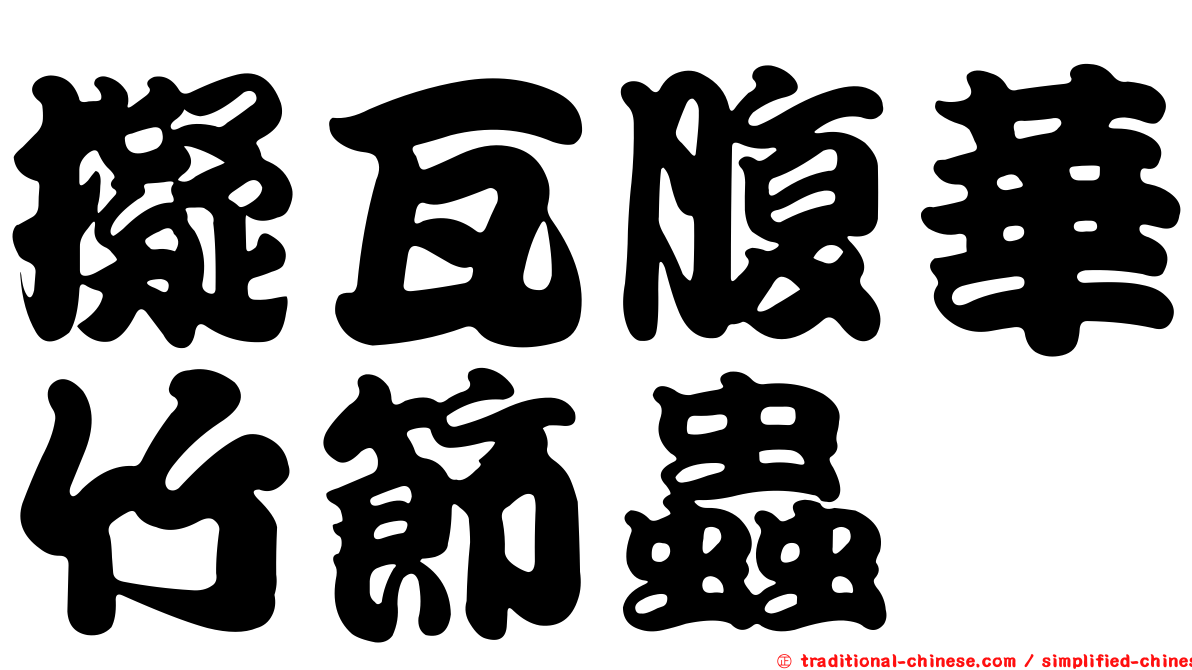 擬瓦腹華竹節蟲