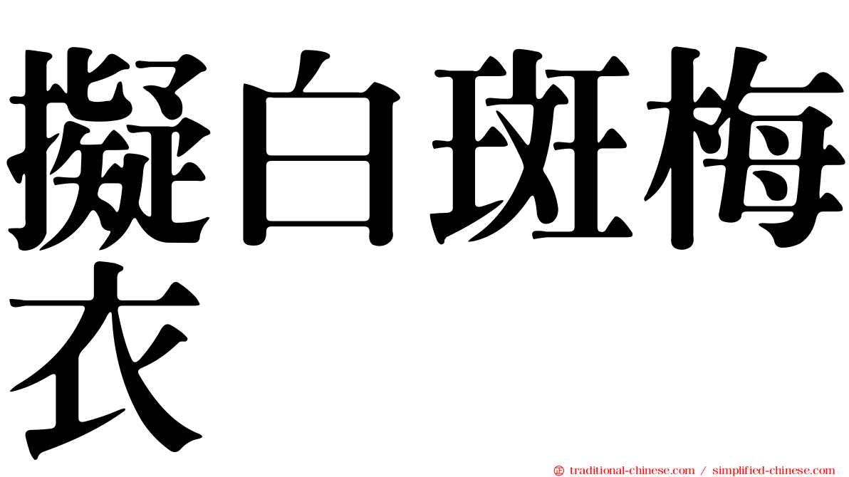 擬白斑梅衣