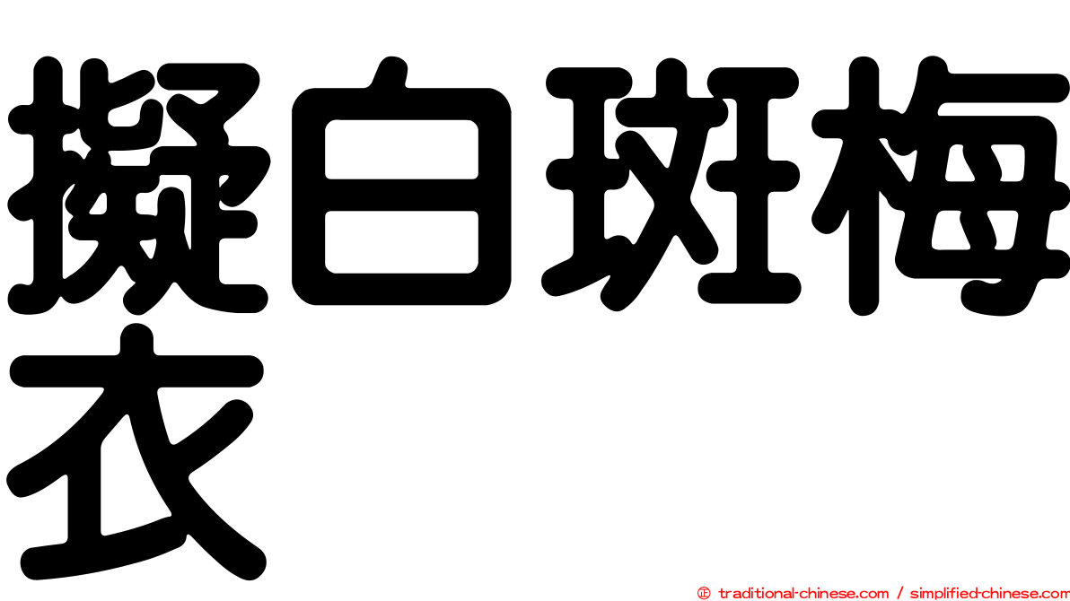 擬白斑梅衣