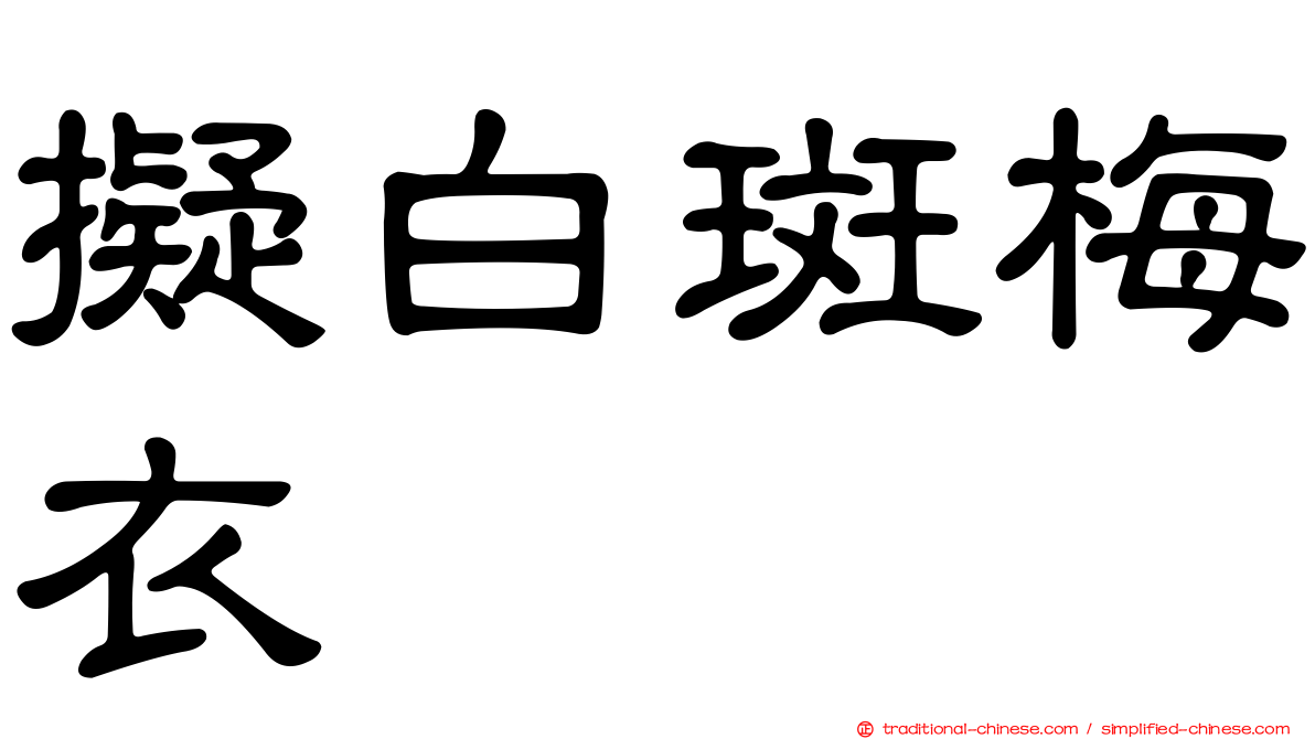 擬白斑梅衣