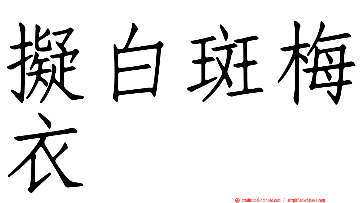 擬白斑梅衣