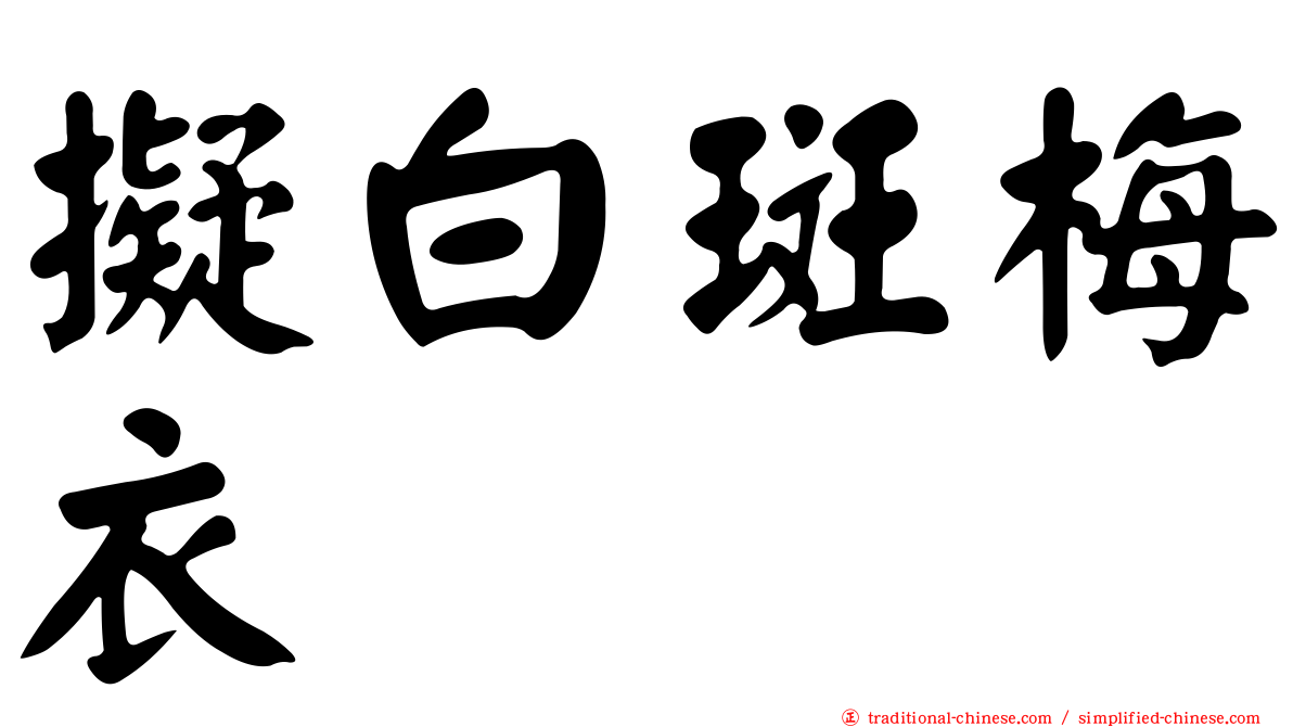 擬白斑梅衣
