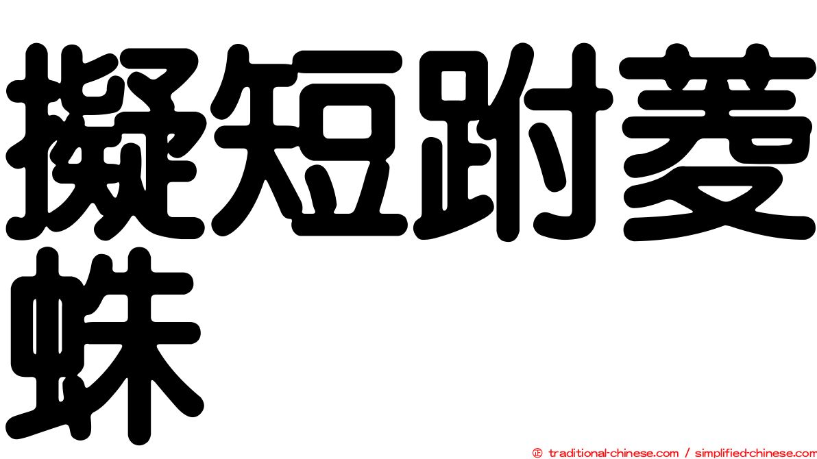 擬短跗菱蛛