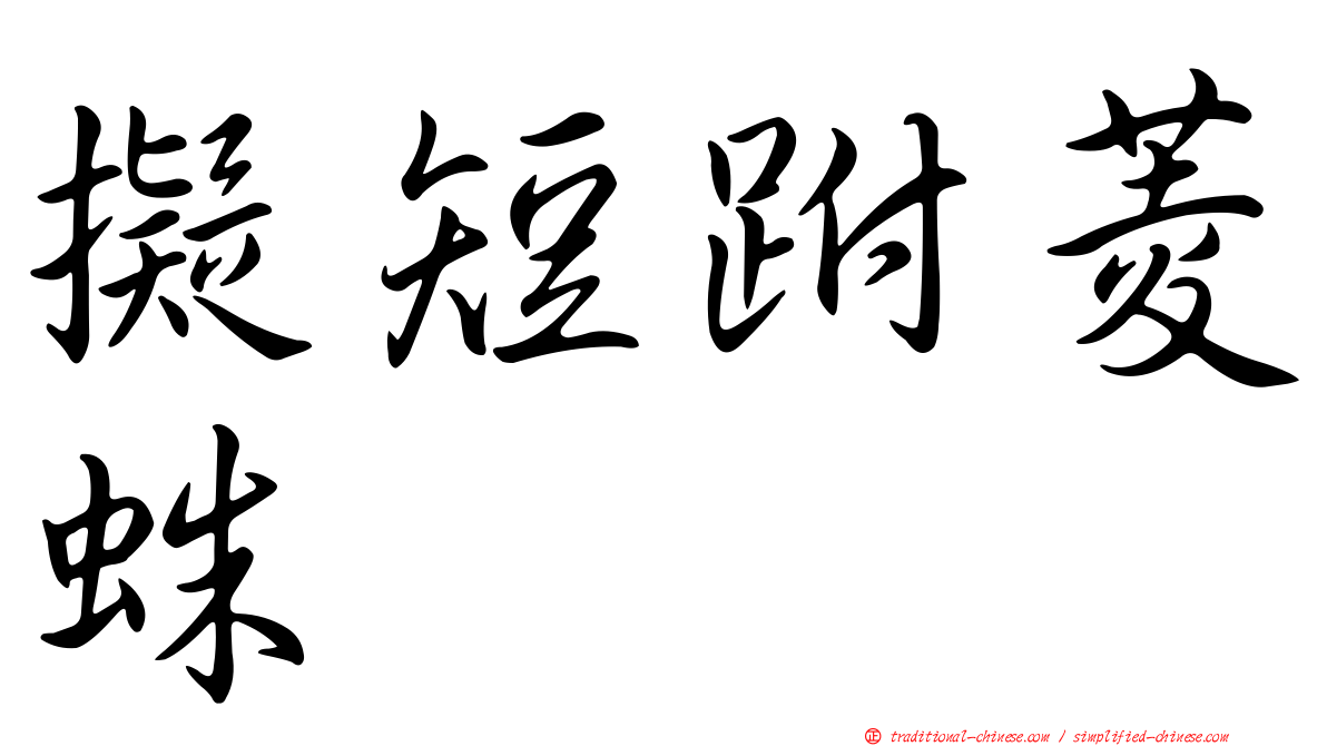 擬短跗菱蛛