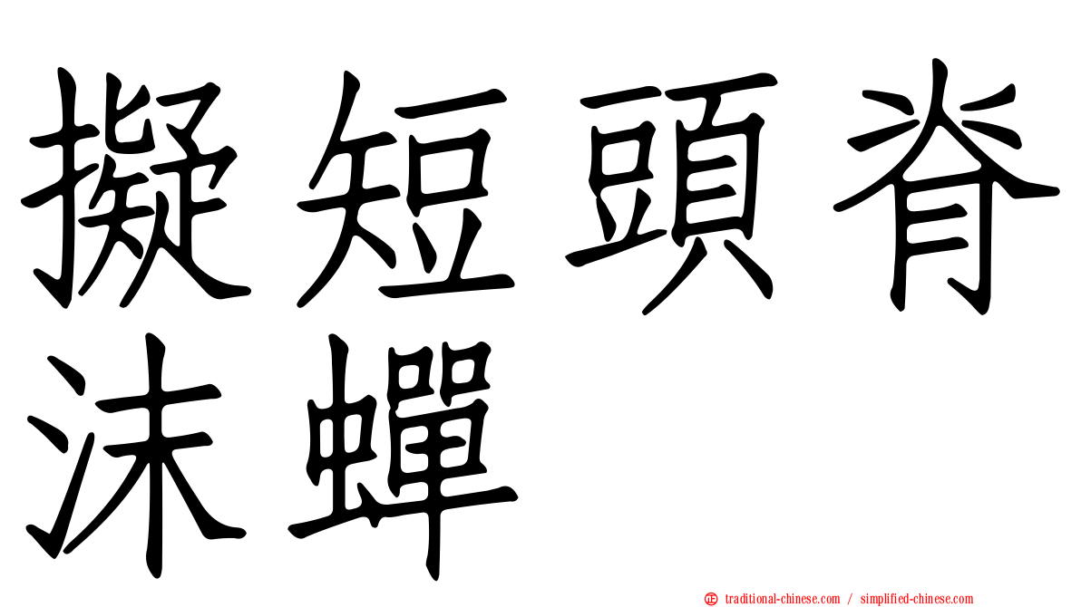 擬短頭脊沫蟬