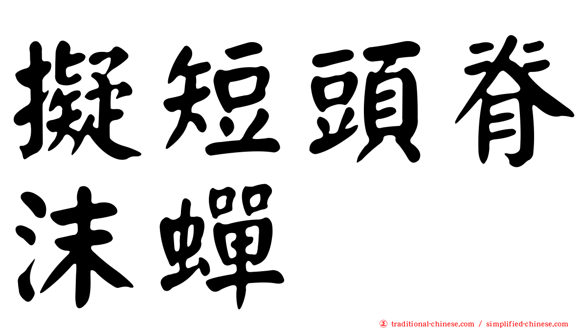 擬短頭脊沫蟬