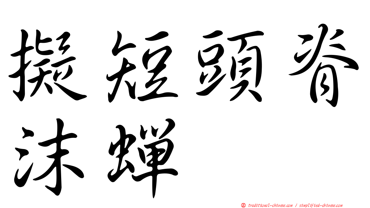 擬短頭脊沫蟬