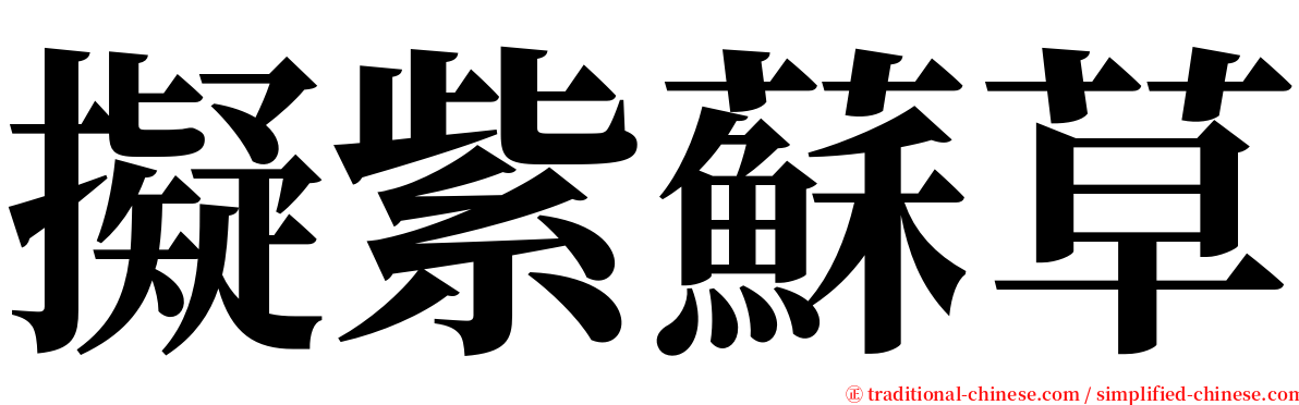 擬紫蘇草 serif font
