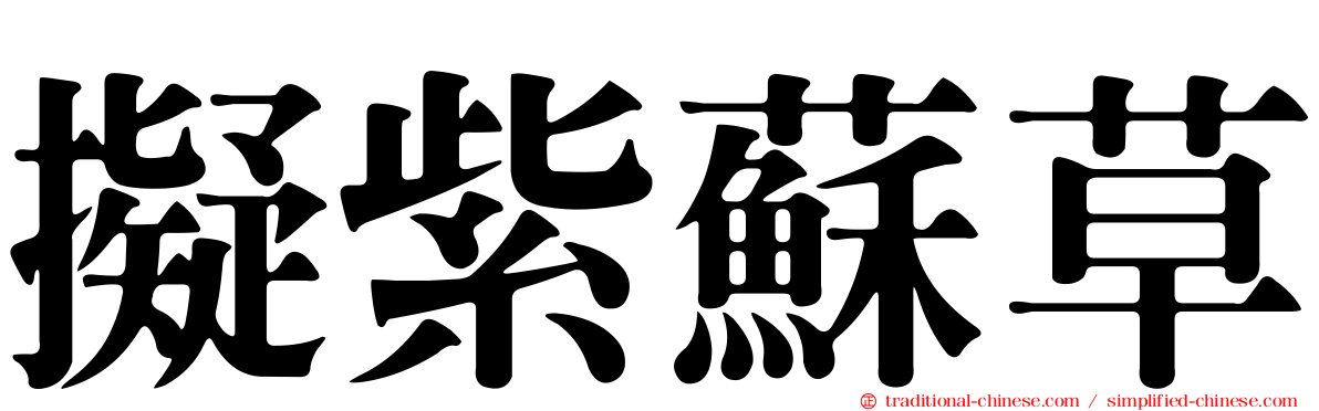擬紫蘇草
