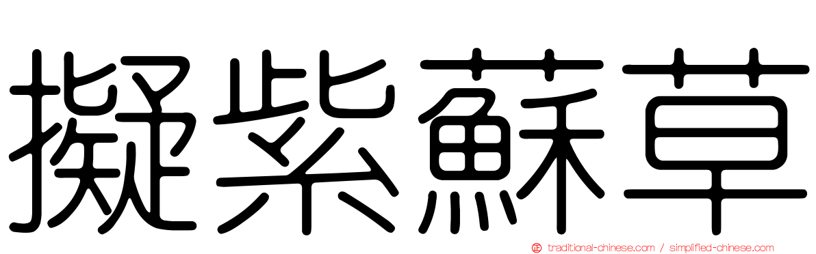 擬紫蘇草