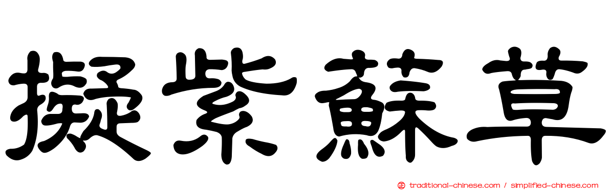 擬紫蘇草