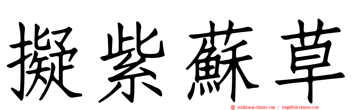 擬紫蘇草