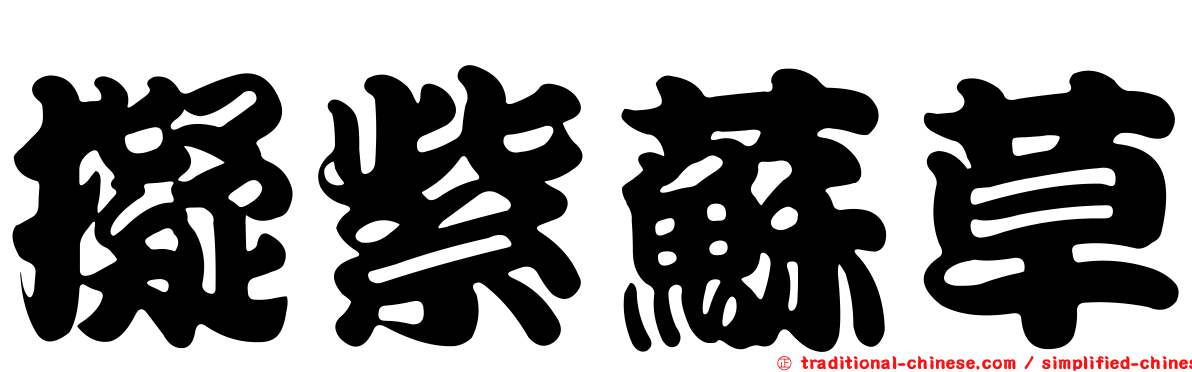 擬紫蘇草