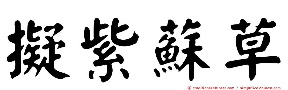 擬紫蘇草