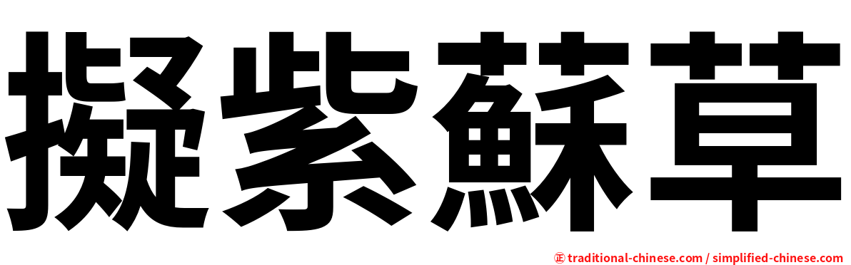 擬紫蘇草