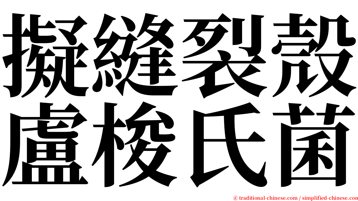 擬縫裂殼盧梭氏菌 serif font