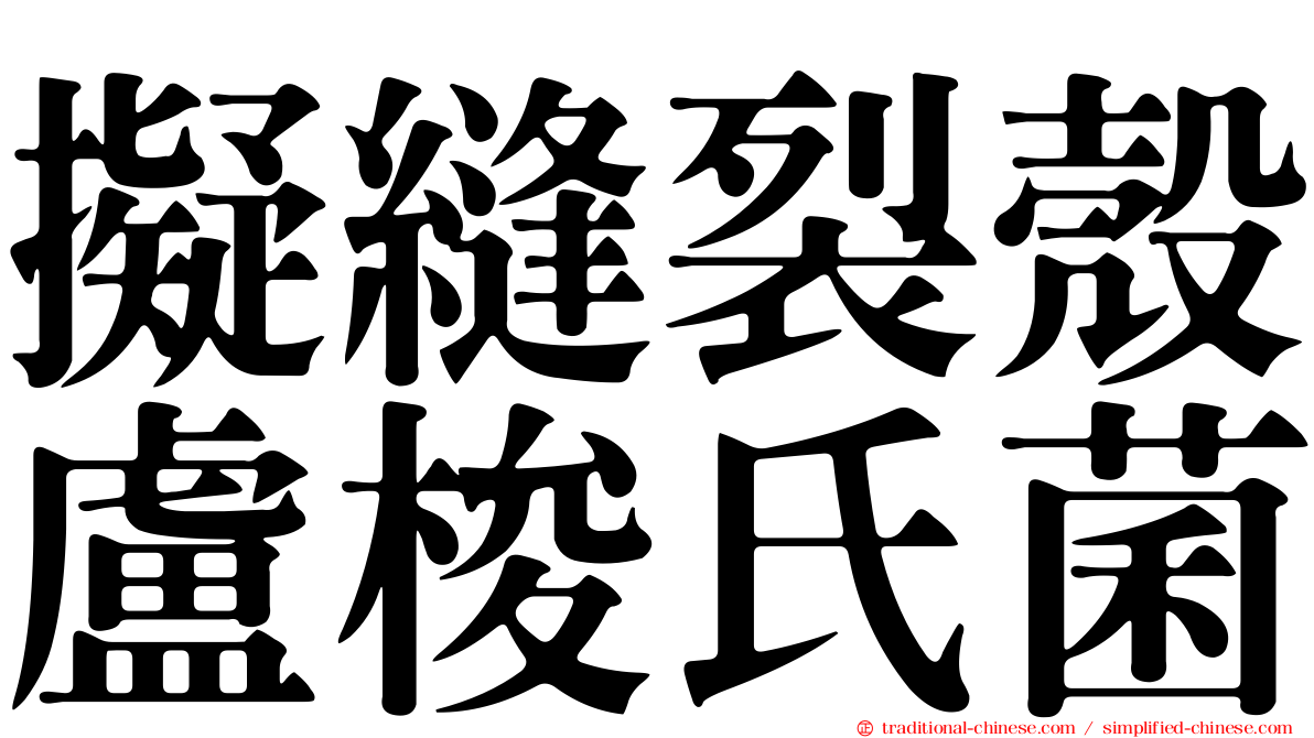 擬縫裂殼盧梭氏菌