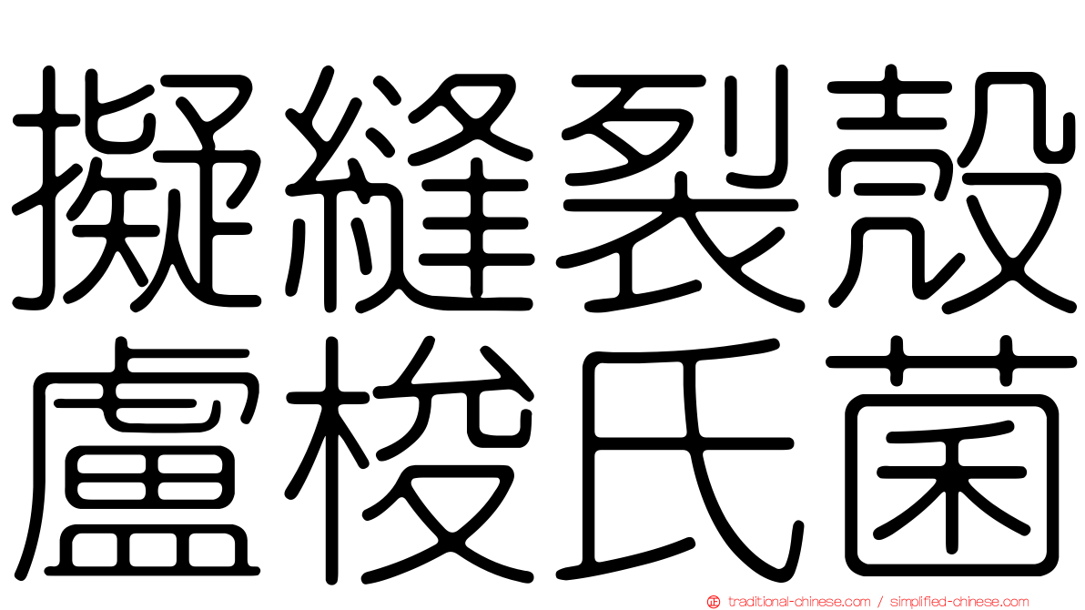 擬縫裂殼盧梭氏菌