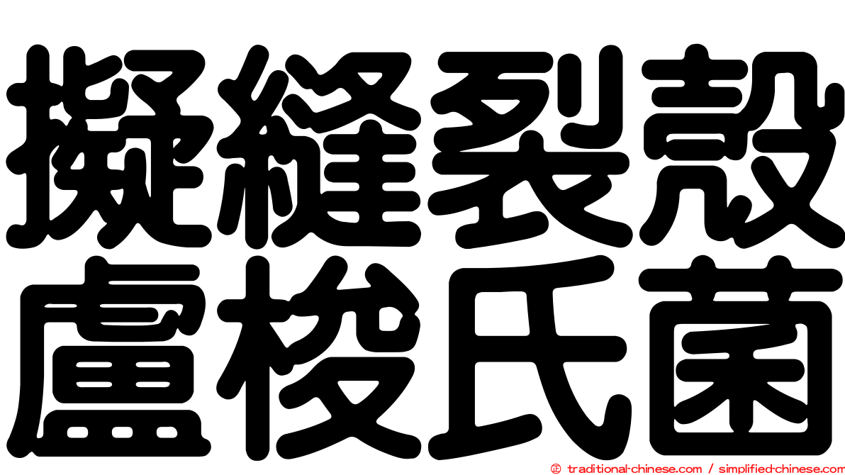 擬縫裂殼盧梭氏菌