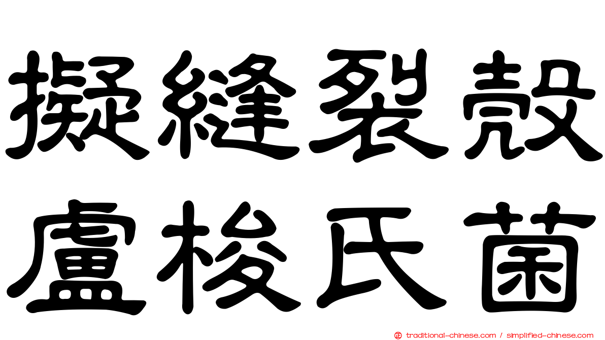 擬縫裂殼盧梭氏菌