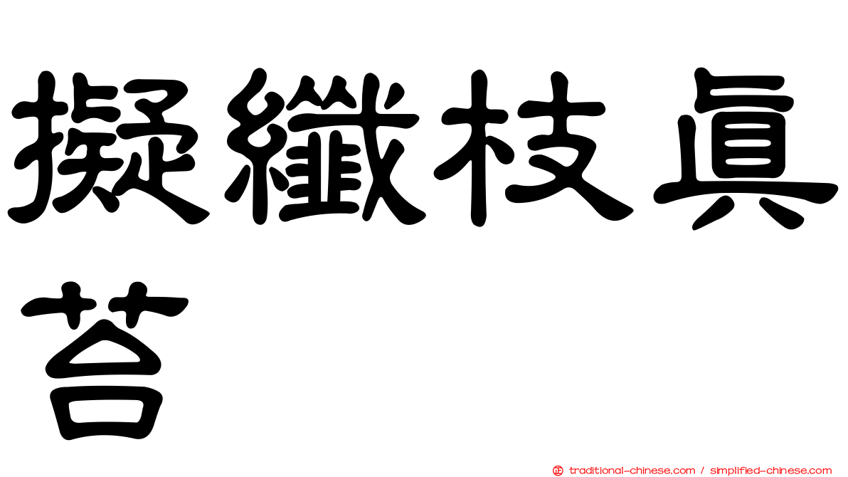 擬纖枝真苔