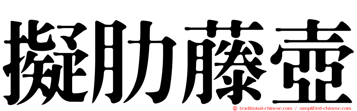 擬肋藤壺