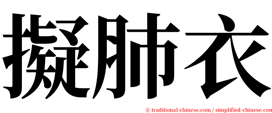 擬肺衣 serif font