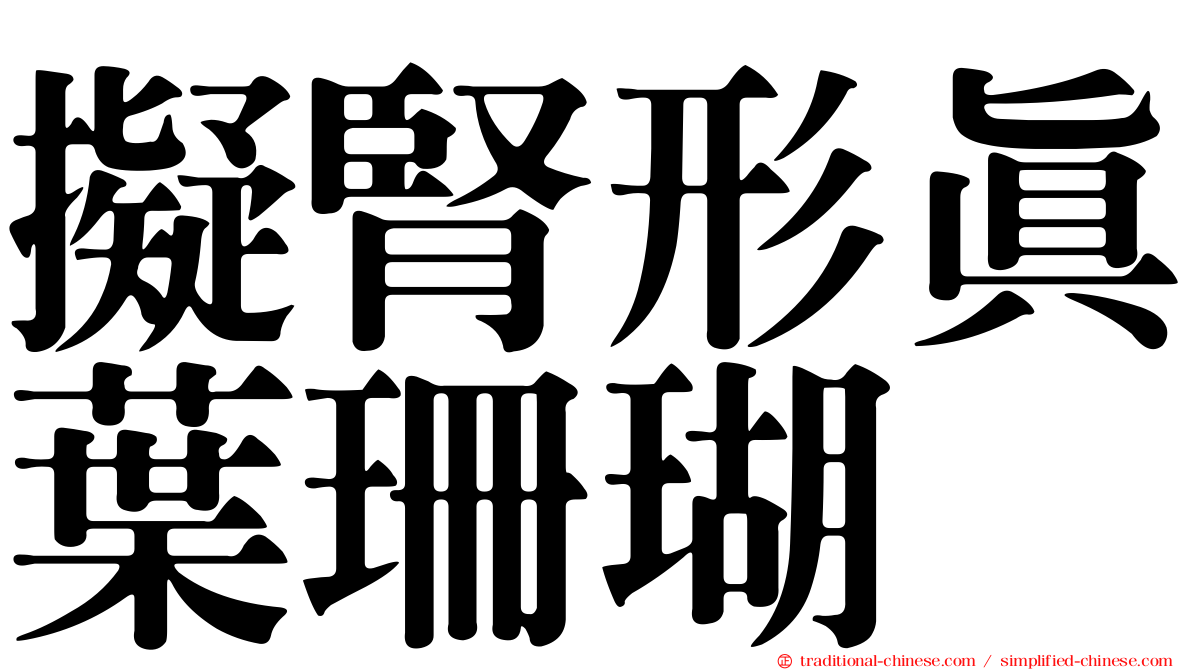 擬腎形真葉珊瑚