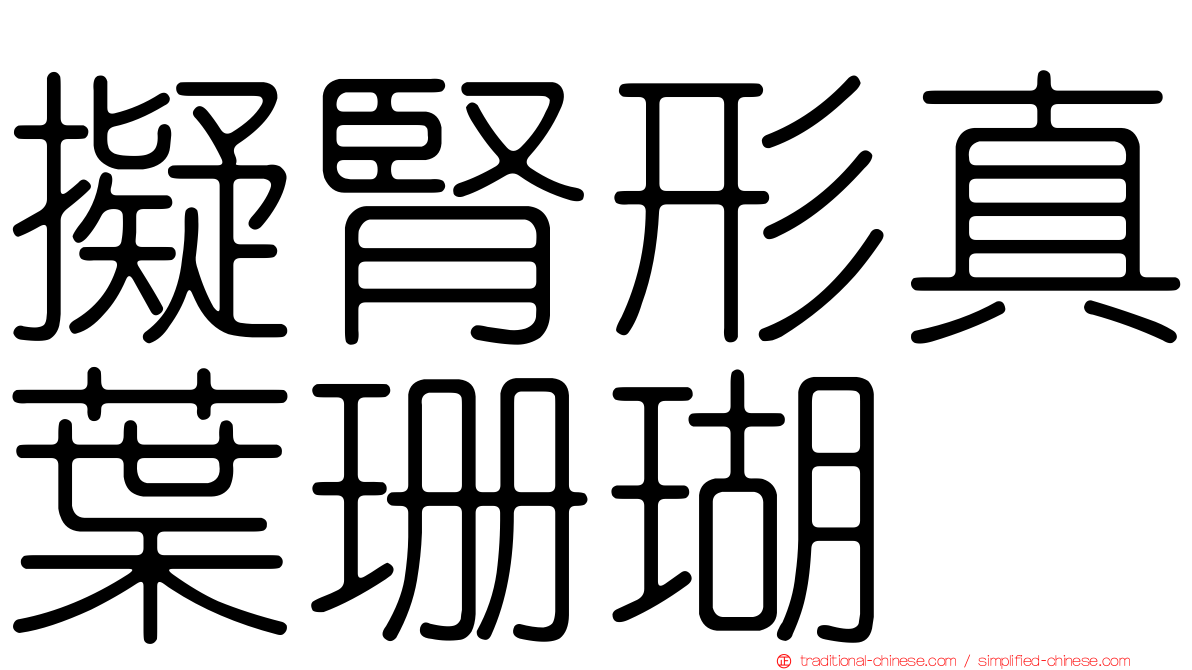 擬腎形真葉珊瑚