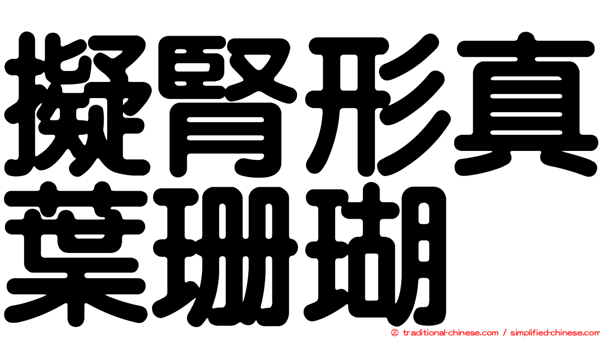 擬腎形真葉珊瑚