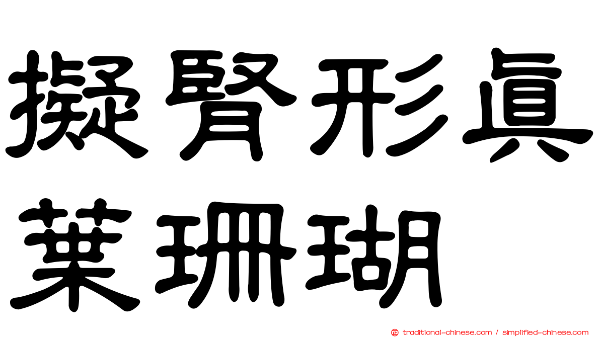 擬腎形真葉珊瑚