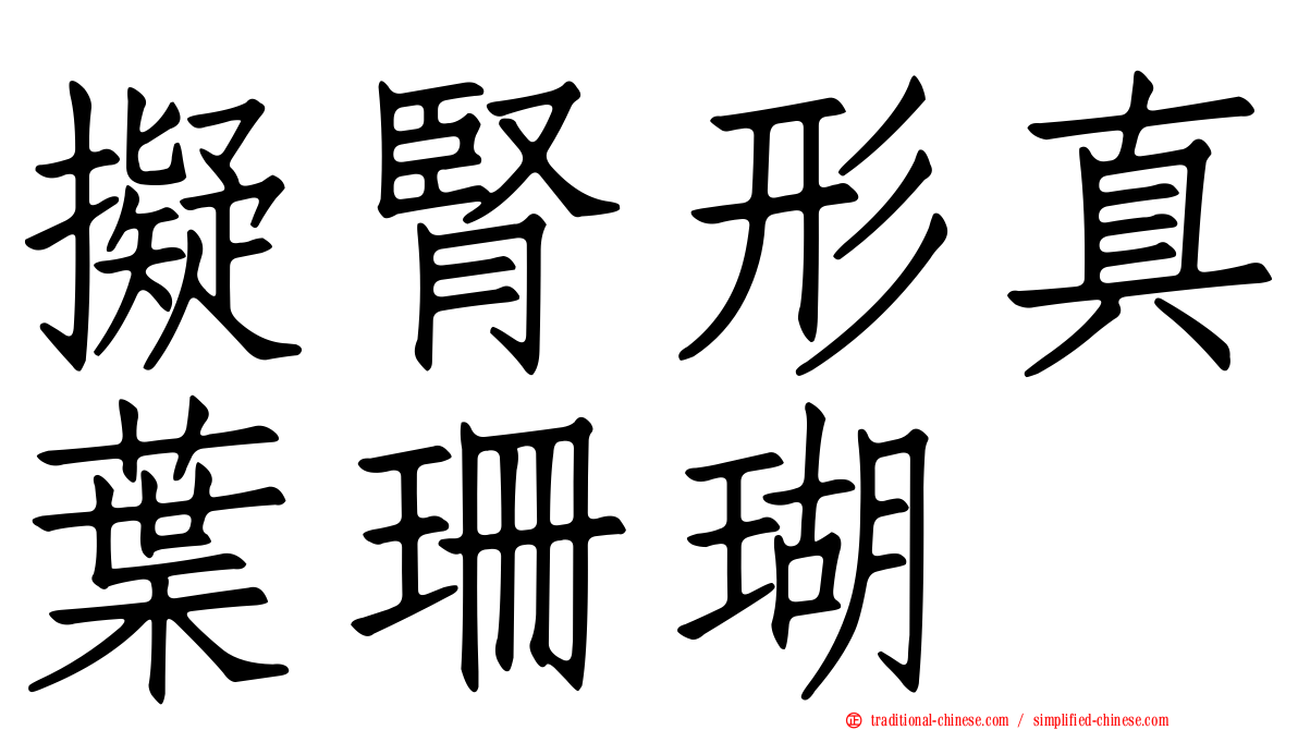 擬腎形真葉珊瑚