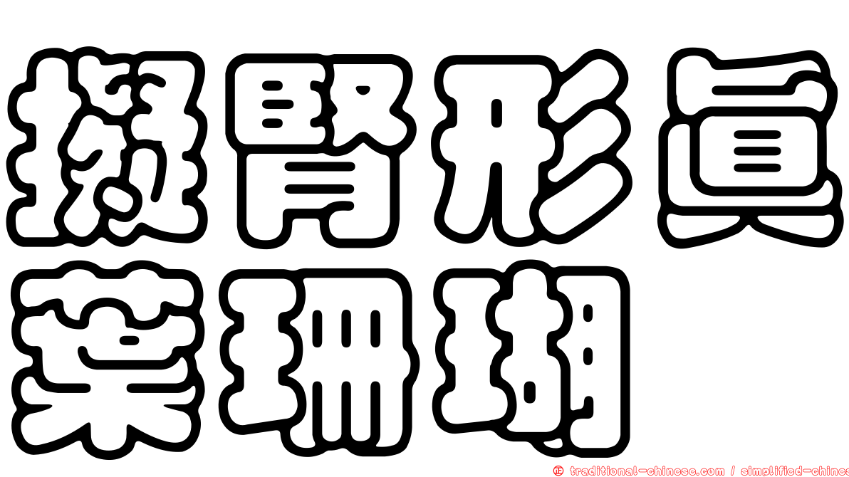 擬腎形真葉珊瑚