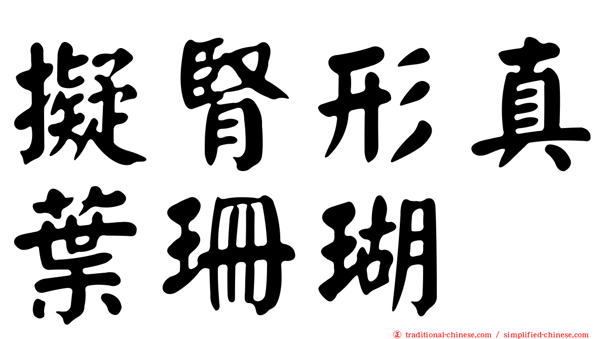 擬腎形真葉珊瑚