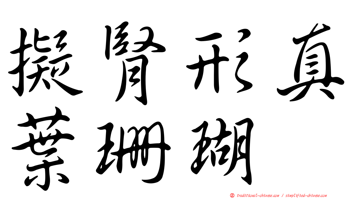 擬腎形真葉珊瑚