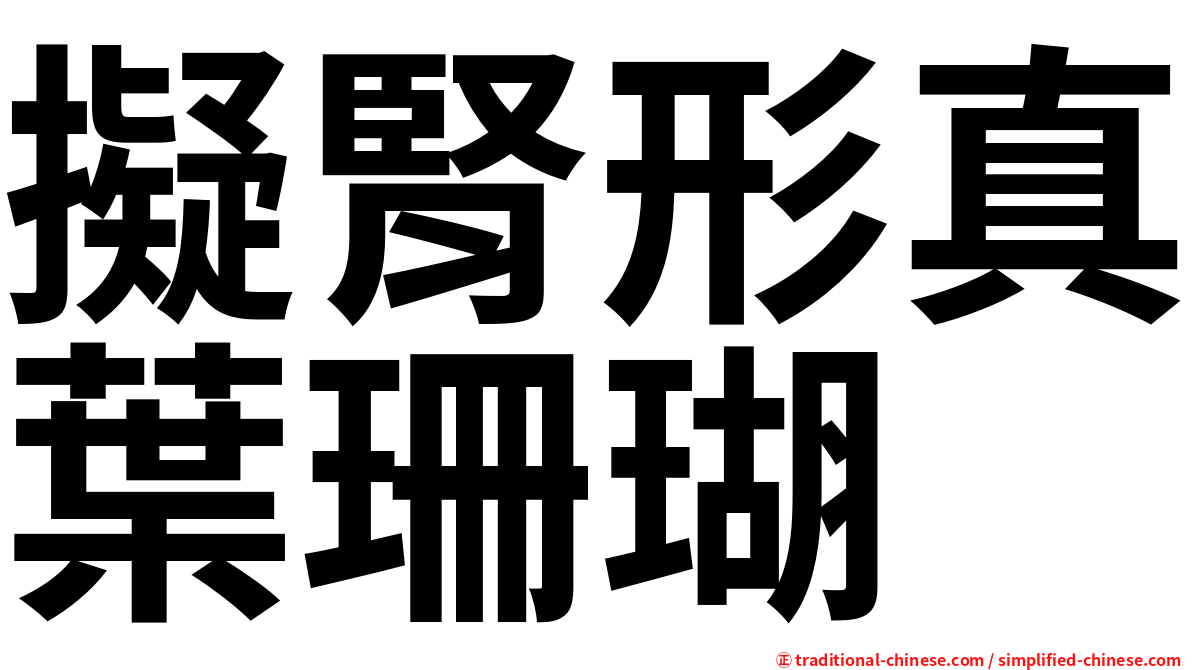 擬腎形真葉珊瑚