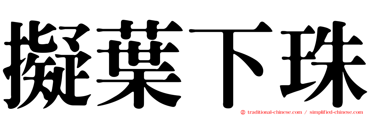 擬葉下珠