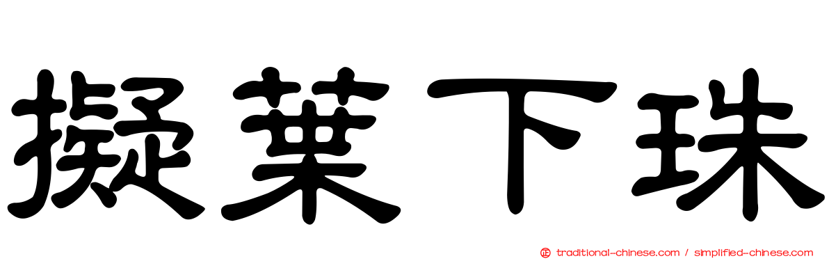 擬葉下珠