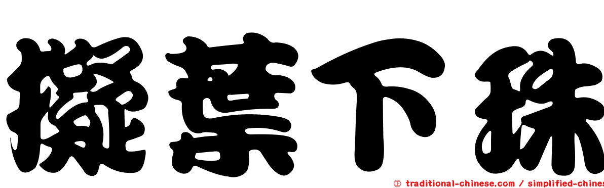 擬葉下珠