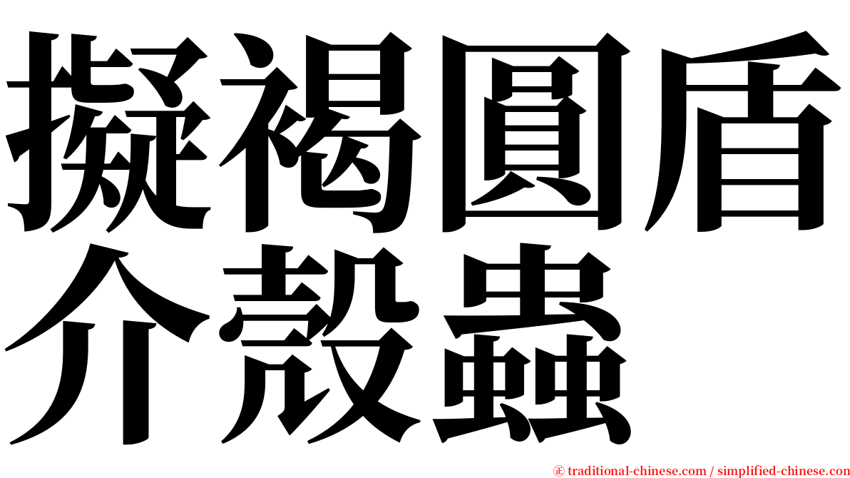 擬褐圓盾介殼蟲 serif font