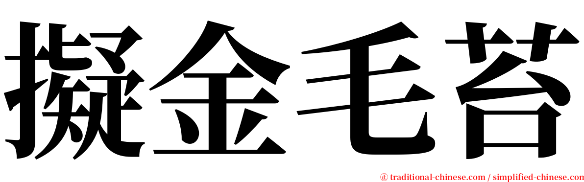 擬金毛苔 serif font