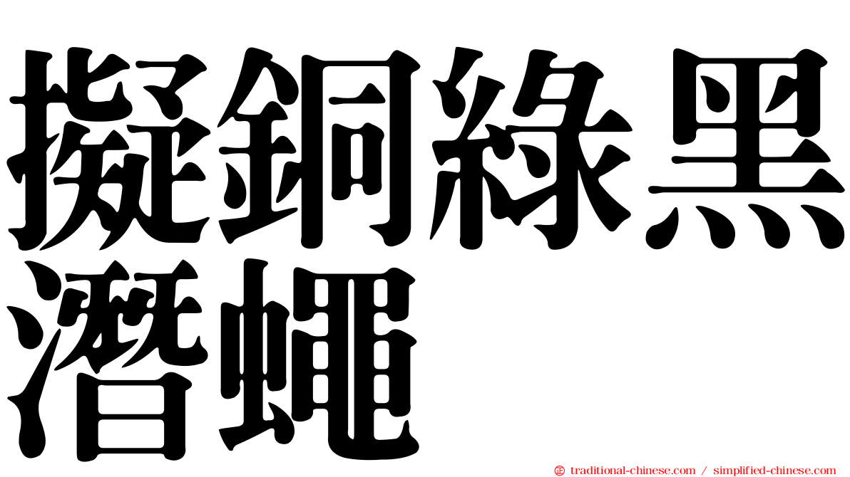 擬銅綠黑潛蠅