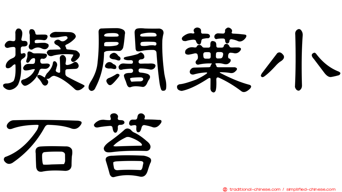 擬闊葉小石苔