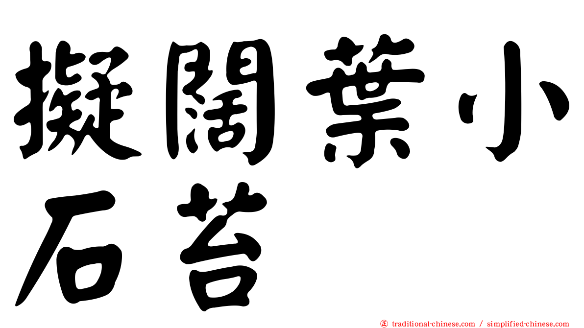 擬闊葉小石苔