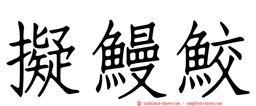 擬鰻鮫