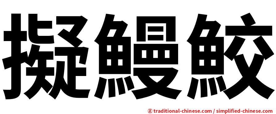擬鰻鮫